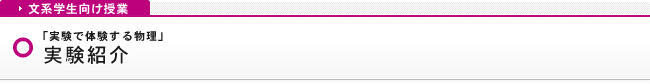実験内容の紹介