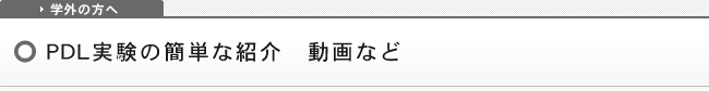 PDL実験の簡単な紹介　動画など