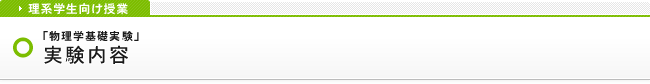 実験内容