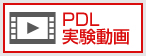 PDL実験動画